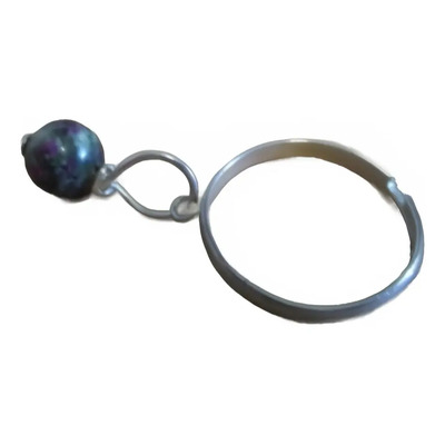 Anillo Magnetita