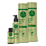 Kit Antiqueda De Cabelo Haskell Jaborandi 300ml