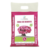 Substrato Para Rosa Do Deserto Composto Premium 3kg Calterra