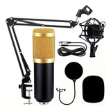 Kit Microfone Estúdio Bm800 + Braço Articulado 813
