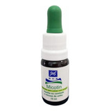 Micotin Fortalecedor Antimicótico Para Unhas 10ml