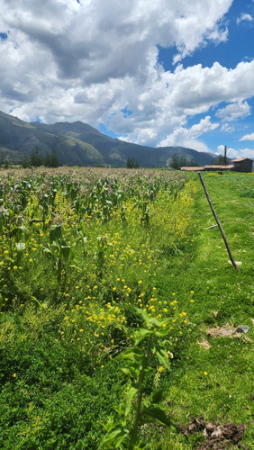 Terreno En Venta - Imagen 3
