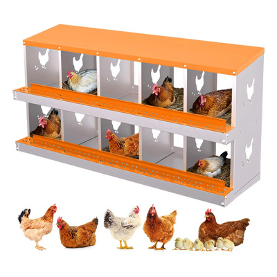 Caja Nidificación Gallinas Metal Percha Extracción Huevos | Meses sin interés