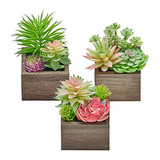 Plantas Suculentas Falsas Decorativas Artificiales Inte...