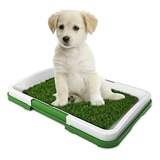 Tapete Entrenador Para Perro  Baño Mascotas 47cmx34cm