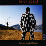 Pink Floyd Delicate Sound Of Thun Cd Nuevo Eu Musicovinyl