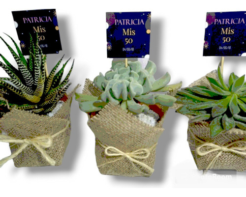 15 Souvenir Suculentas N10 Regalos Evento Empresaria Isiflor