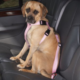 Cinturón De Seguridad Para Perros