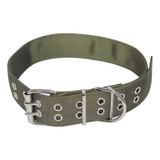 Collar Super Resistente Perro Ideal Para Dogo, Pit Bull, Rot
