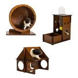 Brinquedos Para Hamster Roda De Ramister Kit Acessórios