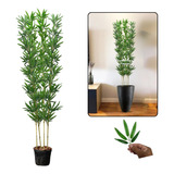 Bambu Mossô Artificial 4 Hastes 180cm + Vaso Apoio