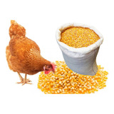 Maíz Amarillo Pollos Bulto 50 Kilos - Kg a $483