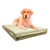 Cama Perro Grande Colchoneta Antidesgarro Impermeable 100x70