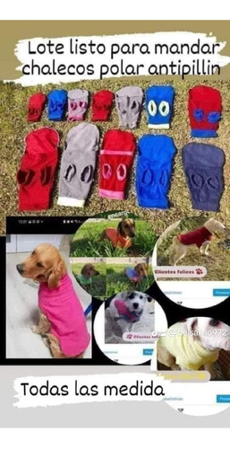 Ropa Para Perros Talle 10 Al 12 