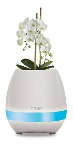 Parlante Florero Led Bluetooth Noga 