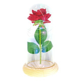 Rosa Eterna Luces Led Flor Eterna Artificial Cúpula Vidrio