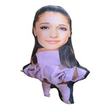 Cojin Peluche Ariana Grande Chiquito.