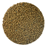 Osmocote Adubo Fertilizante 14-14-14 Ideal P/ Bonsai 300g