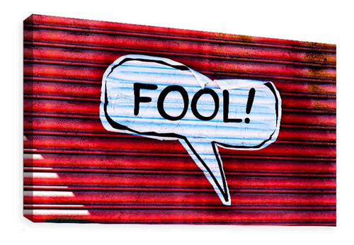 Cuadro Decorativo Canvas Moderno Fool Graffiti