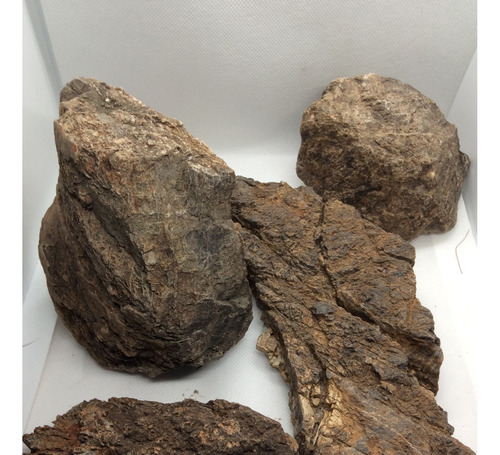 Roca Fosil De Madera Petrificada En Bruto Natural X 1kg