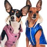 Chalecos Camperas Abrigos Ropa Para Perros O Gatos  Nuovo!