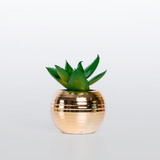 Mini Vaso Dourado Com Planta