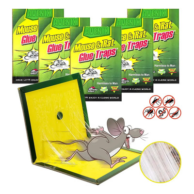 Trampa Pegajosa Grande Ratón Plegable y Ratas Plegable 5pcs Trampas Para Ratones Y Otras Trampas Para Roedores Para El Hogar, Para Interiores Y Exteriores | MercadoLibre