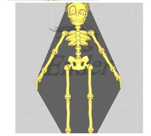 Esqueleto Articulado Archivo Stl