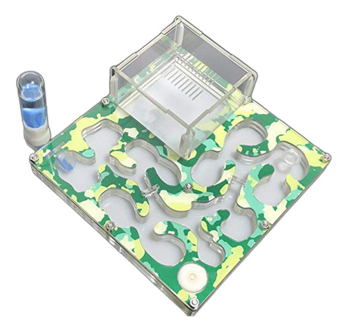 Hormiga Uva Camuflaje Apicultura Colonia Gran Formicarium Ho