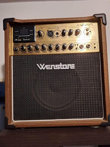 Amplificador Wenstone A/ge-258fx Multipropósito De 25w