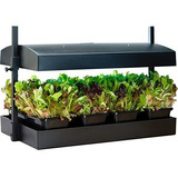 Focos Para Plantas - Sunblaster Sl******* Growlight Garden-t