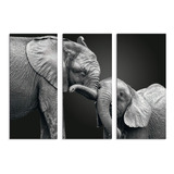 Set De 3 Cuadros Canvas Elefante Byn Mama Bebe 90x130cm