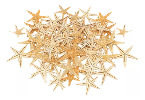 Decoración De Estrella De Mar Natural Para 1 A 5 Cm, 100 Pie