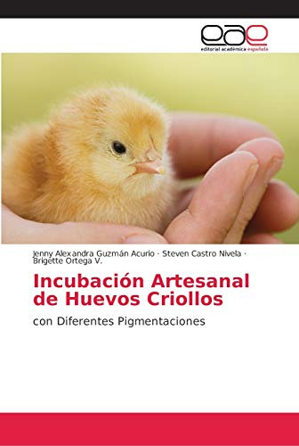 Incubacion Artesanal De Huevos Criollos