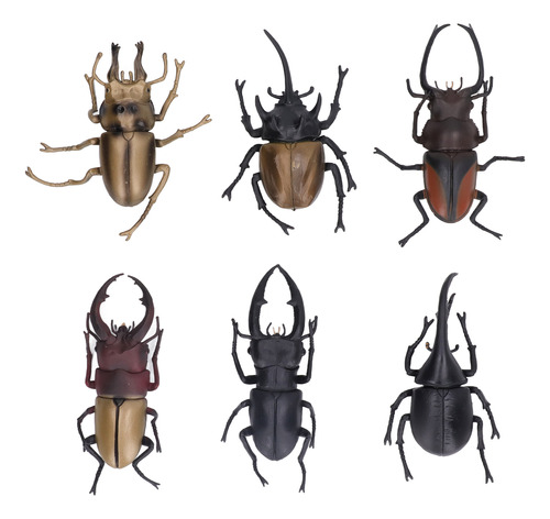 Juguete De Simulación De Insectos, Modelo De Insecto, De Pvc