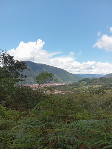 Terreno De 2ha
