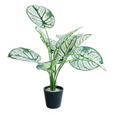 Planta Artificial Decorativa Caladium Blanco 40cm