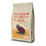 Papilla Psittacus Eclectus 5kilos