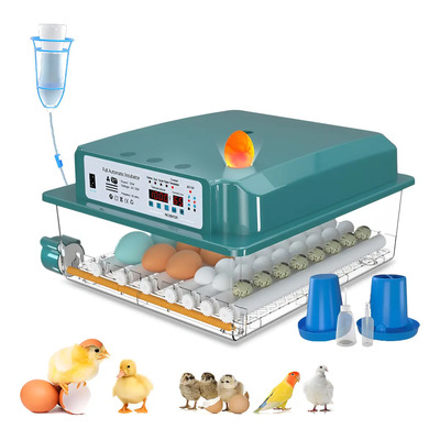 Incubadora Huevos Rollo Automática 36 Huevos Pollos Y Aves | Envío gratis