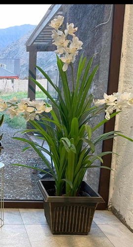 Planta Grande Artificial Orquídeas , Aspecto Real