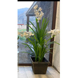 Planta Grande Artificial Orquídeas , Aspecto Real