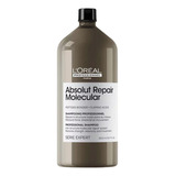Shampoo Absolut Repair Molecular Loreal  Cabelos Danificados
