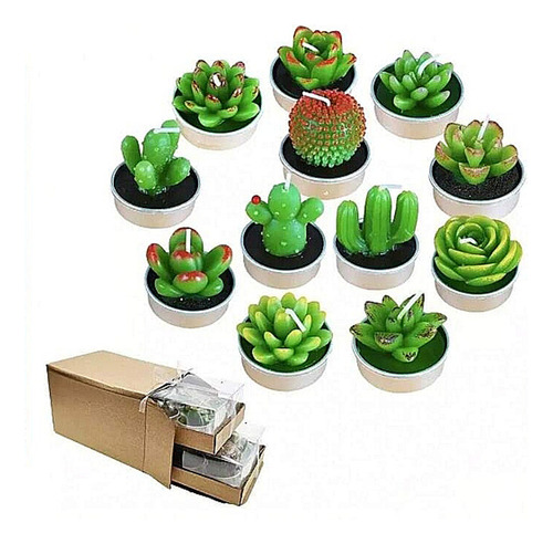 Velas Suculenta Decorativas Artificiales Verdes De Cactus