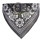 Collar Perro Chico/mediano Con Panuelo Bandana 40cm