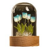 Kit De Luces Nocturnas Con Tulipanes Para Manualidades