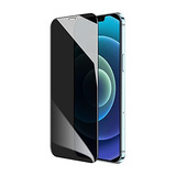 Mica Privacidad Cristal Templado Para iPhone 12 Pro Max