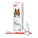 Clorhexidina Gel Antiplaca Para Perros 20 Ml Con Cepillo