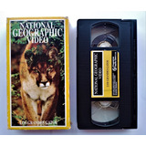 Los Grandes Gatos. National Geographic Video. Vhs