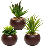 Mini Plantas Suculentas En Maceta Artificiales, Juego De 3