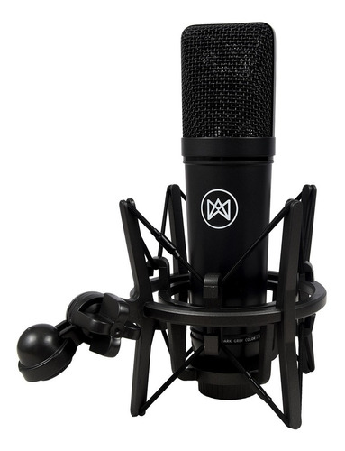 Amw Ec2 Pro Microfone Condensador Xlr 25mm Com Shockmount Cor Cinza-escuro